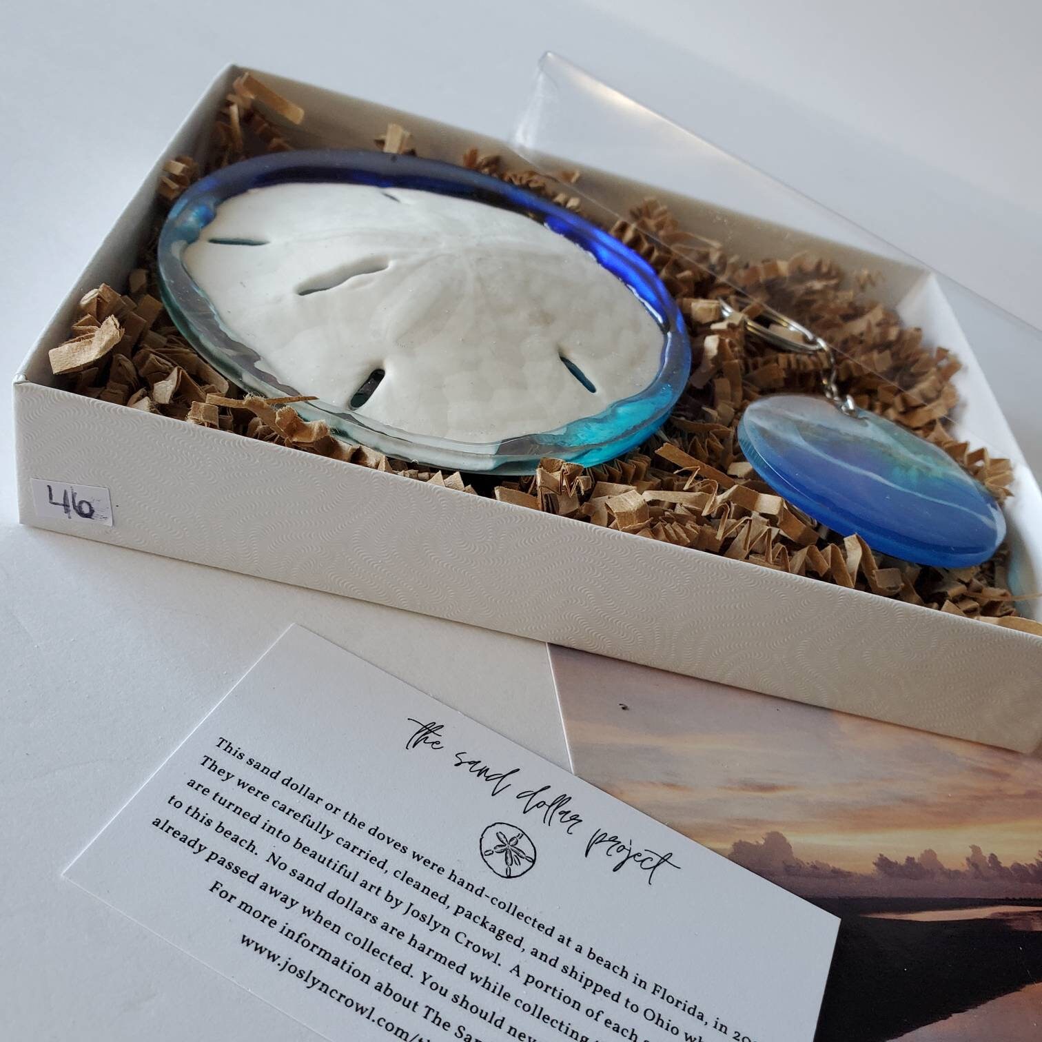 Sand Dollar Resin Art Gift Box 46 Sand dollar art Sand Etsy