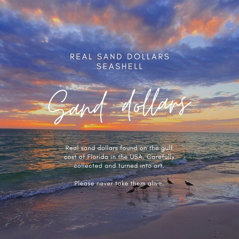 Sand Dollar Poems the Best Poetry on the Web Legend of the Sand Dollar