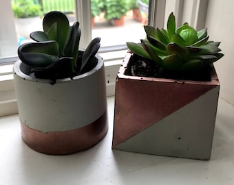 Unique small succulent concrete planter pots, Buy either or both--FREE SHIPPING!