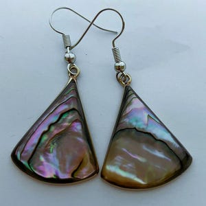 May include: A pair of iridescent abalone shell earrings. Each earring features a triangular abalone shell pendant with a silver-tone hook. The shell displays a range of colors, including pink, purple, and green.