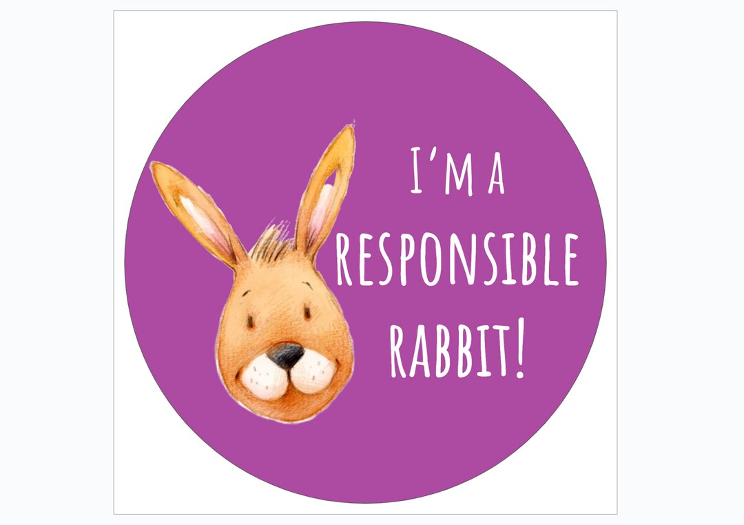 New! Positive Behavior Vinyl Stickers Featuring the Responsible Rabbit ...
