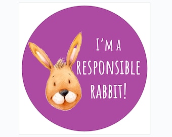 New! Positive Behavior Vinyl Stickers featuring the Responsible Rabbit from The Behavior Buddies Collection