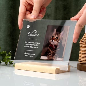 Cat Memorial Gift, Dog Memorial Gift, Personalized Cat Gift, Cat Bereavement, Custom Cat Portrait, Pet Loss Gift, Lost Cat Remembrance