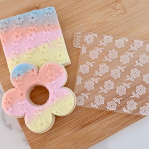 May include: A flower-shaped cookie and a square cookie, both decorated with a floral pattern. A clear plastic stencil with the same floral design is also present. The cookies have a pastel rainbow gradient. The stencil has the text "HOTS".