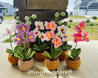 Crochet Orchid, Crochet Flower, Orchid pot amigurumi , Handmade Orchid, Crochet Home Decor, Handmade Decor, Orchid in a Pot