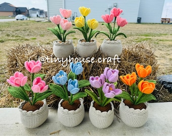 Flower pot amigurumi / tulip pot crochet / crochet lily / crochet daisies/ crochet tulips/