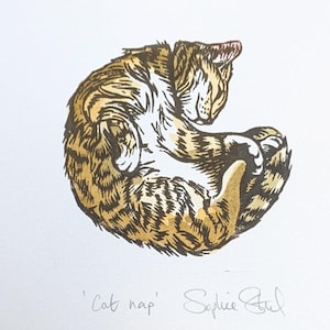 Cat Nap: handprinted lino print and watercolour, unframed
