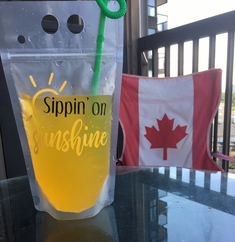 Reusable Drinking Pouch with Disposable Straw for Drinks