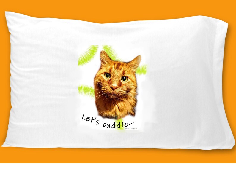 etsy cat pillow