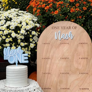 My First Year Photo Board | First Birthday Board  | Milestone Baby Sign | First Birthday Sign | One Year Of Photo Sign