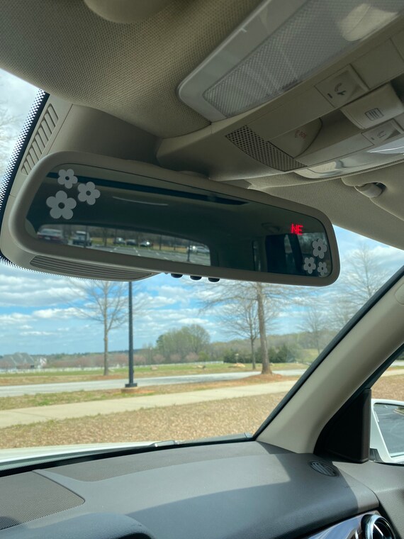 Windshield Squeegee for Car Windows Rearview Mirror Wiper Gluesticks Color  Box