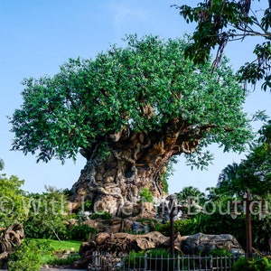 Tree of Life