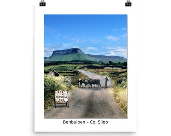 Benbulben - Co. Sligo - Ireland - Cows Crossing - Lustre Photo Poster 20x16in or 8x10in