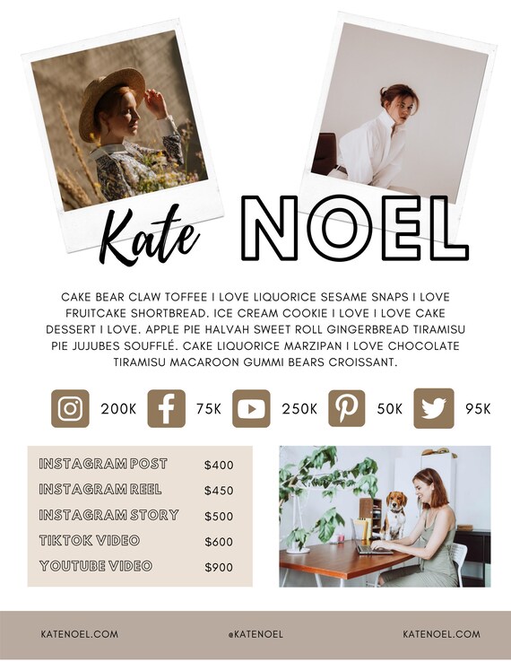 1 Page Media Kit Template / Canva Template / Influencer Media Etsy