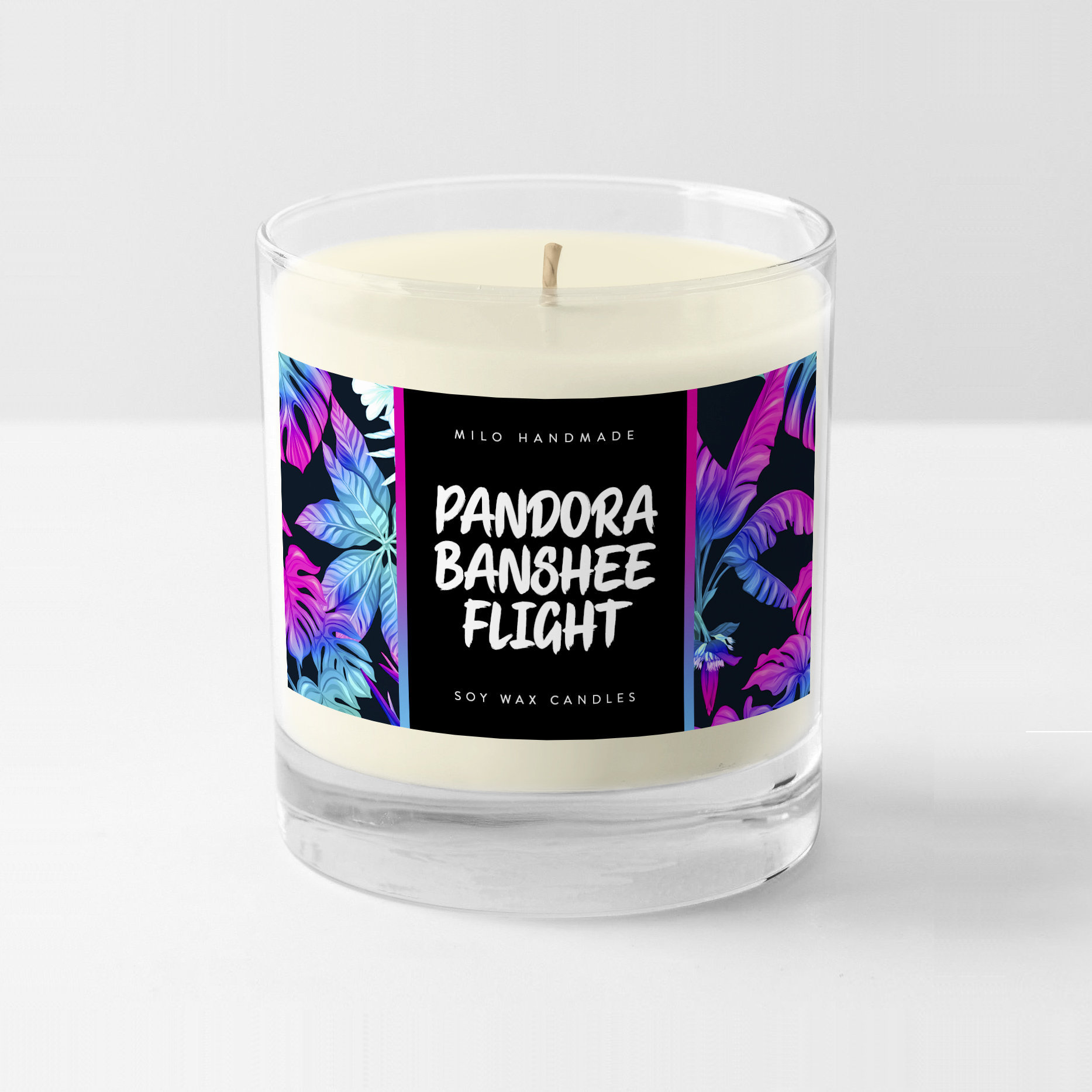 Park Scents Passage Flight Candle Super Accurate Smell of the Ocean Scene  in Flight of Passage Ride Handmade in the USA 