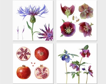 Set 4 of 4 Botanical Art Blank Cards