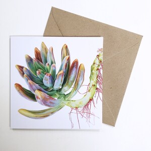 Carte d'art botanique Graptosedum