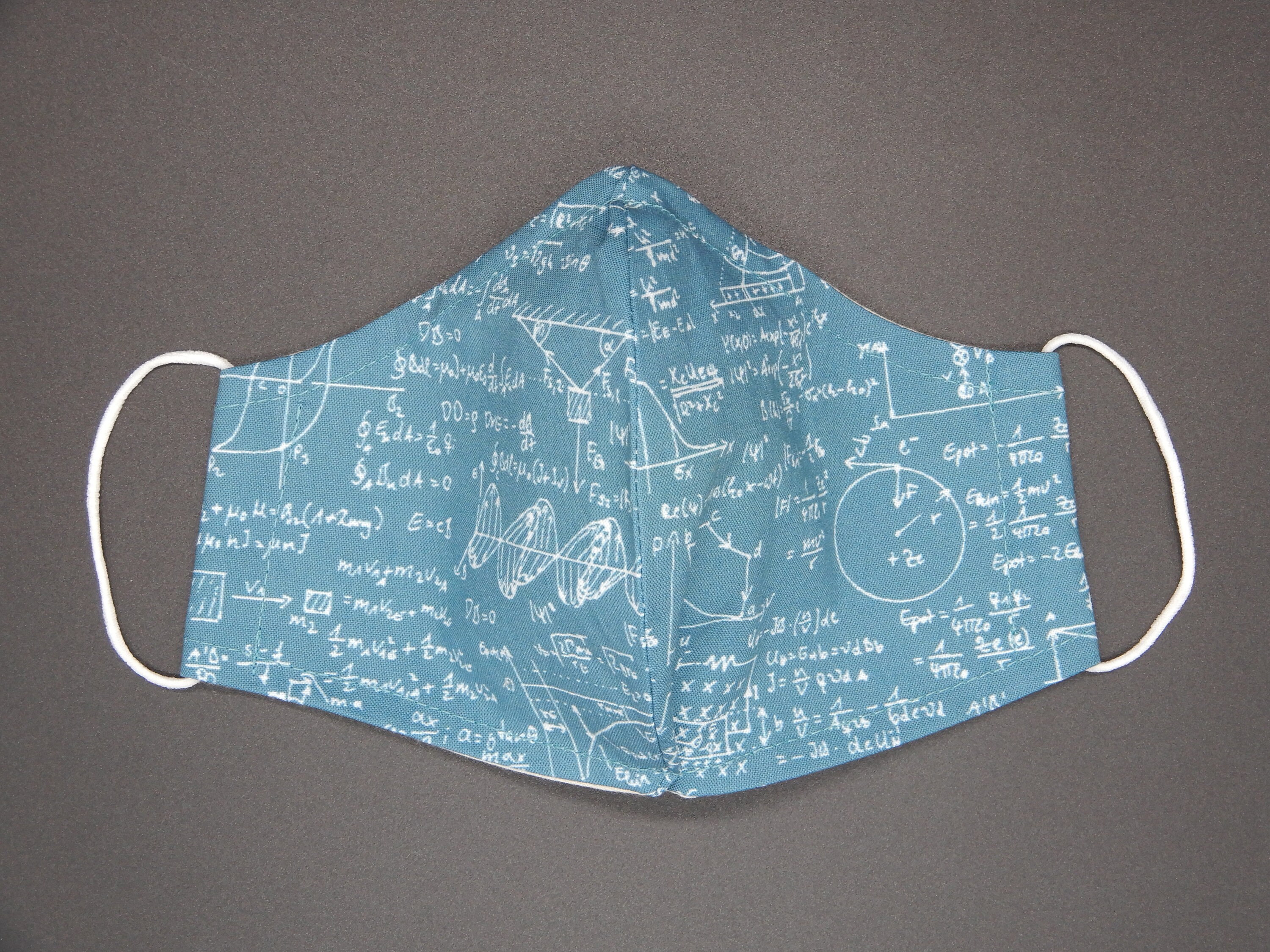 Face Mask / Math teacher face mask/ Mathematics/ Cotton Cloth Etsy