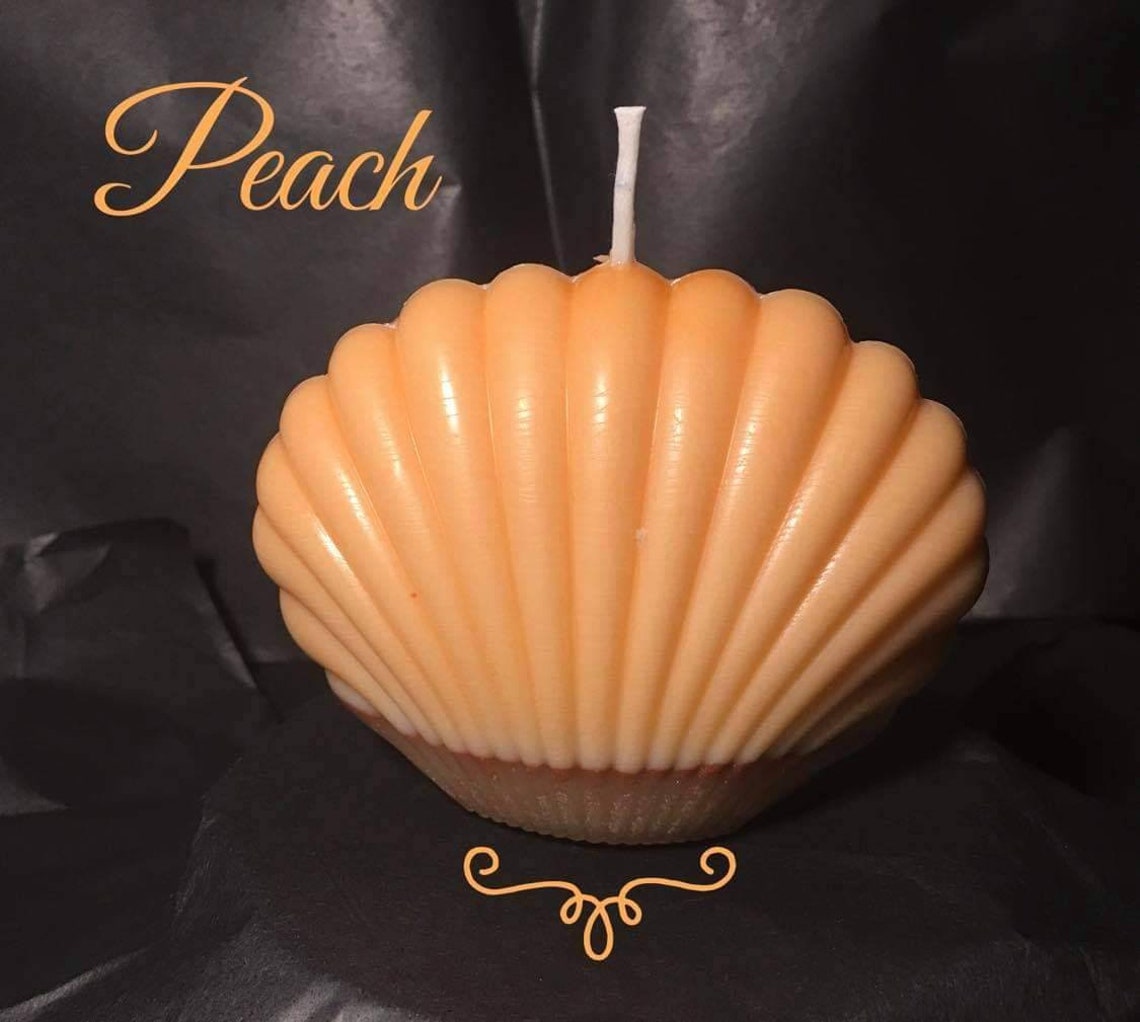 Sea Shell Candle Etsy