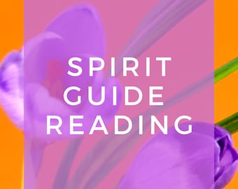 Spirit Guide Reading