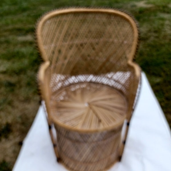 Vintage Wicker Canopy Peacock Chair/ Hooded Rattan Fan-back Seat Small