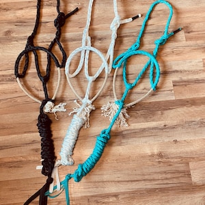 Grimma med koppel för häst, rep och nos