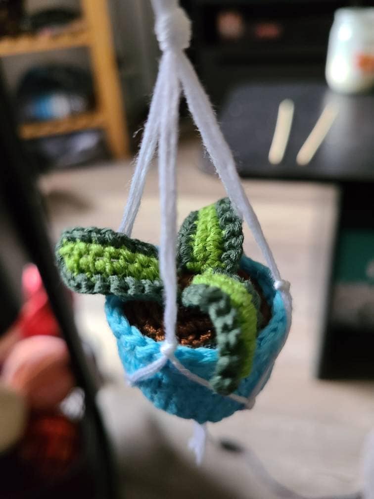 Car crochet plant / made to order / choose your color / mirror Etsy