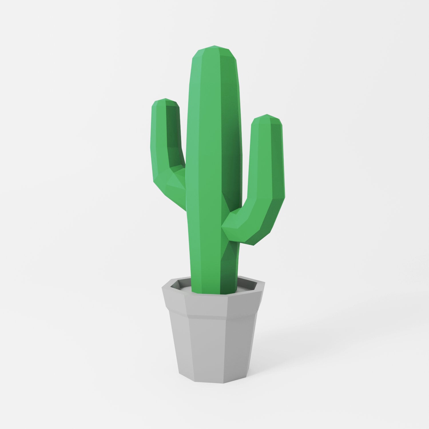 Cactus, Printable PDF Template, Papercraft, Download, 3d, Low Poly - Etsy