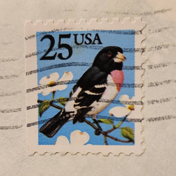 US, Cancelled 25 cents stamp, and envelope. Rose breasted Grosbeak, bird stamp. Excellent condition.