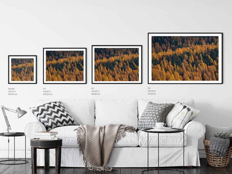 Photo of larches in Autumn golden coloured trees among gree pines Switzerland landscape of Engadin valley image 5