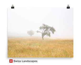 It was them! - Trees in fog - a calm artwork for a living room or office - print