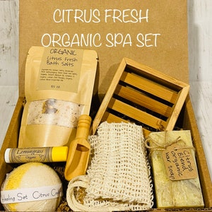 Organic Citrus Spa Set, Organic Essential Oils and Herbs Infused Apothecary Healing Set, Birthday Gift, Spa Bath Kit