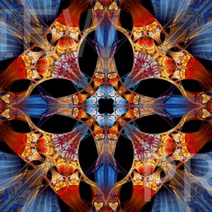 Op de afbeelding: Abstracte digitale kunst met een symmetrisch ontwerp met ingewikkelde patronen in tinten blauw, rood, oranje en goud. Het ontwerp lijkt op een gestileerde bloem of ster op een zwarte achtergrond.