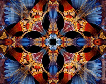 Bursting Star {Multiple Sizes}