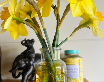 Hand painted glass vase,daffodils ,tulips or crocus vase,Spring delight ,option for lights available,perfect Easter gift