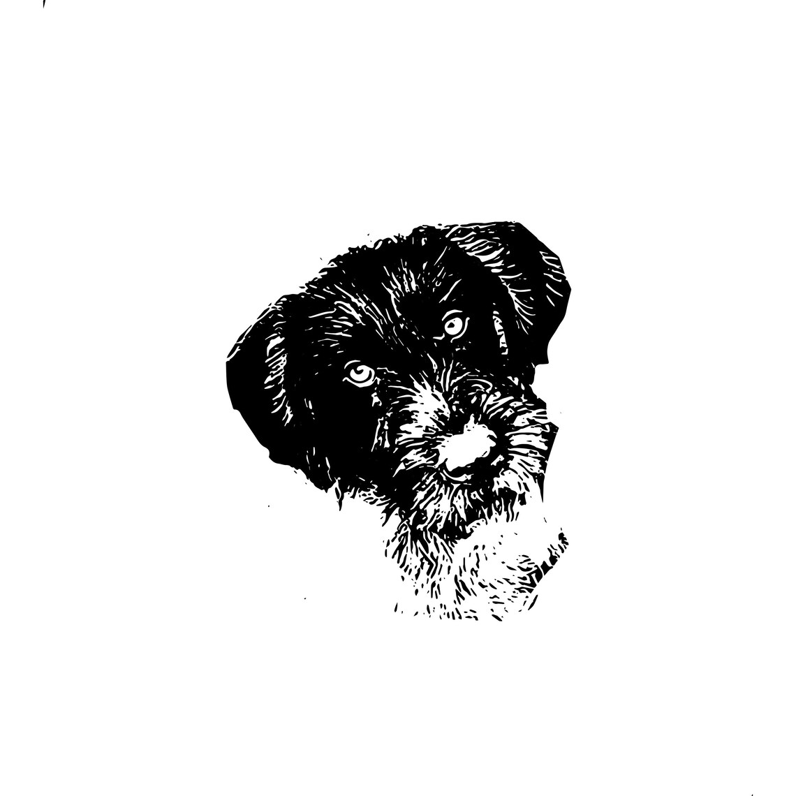 Pet Pillow, Pet Lover Name Pillow, Gift for Pet Lovers, Family Pet