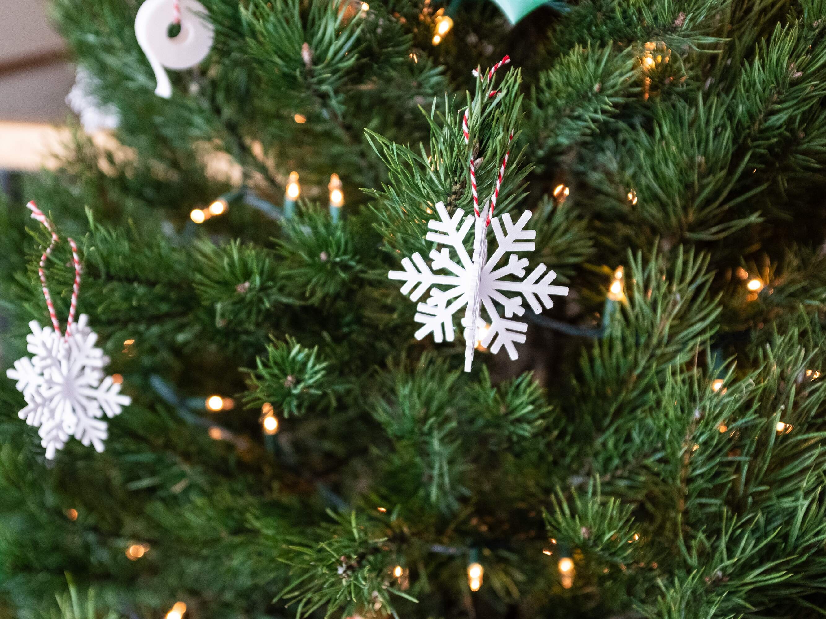 Snowcicle!  Snowflake Ornament