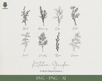 8 Herbs Botanical Hand drawn SVG, Kitchen Garden Collection, Buy now Get FREE! Silhouette and Plant Label SVG