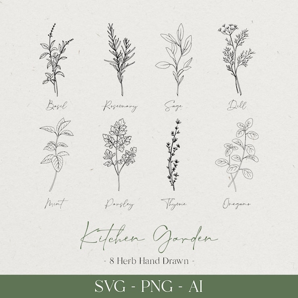 8 Kräuter botanische handgezeichnete SVG, Kitchen Garden Collection, jetzt kaufen, GRATIS erhalten! Silhouette und Pflanzenlabel SVG