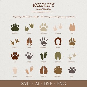 Wildlife Animal Tracking SVG, Animal Footprints Svg, Paw Prints SVG Bundle, Paws Clipart, Cat Paw Svg --- Get Free Poster (PNG file) ---