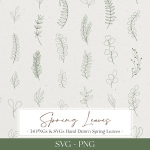 May include: A set of 34 hand-drawn spring leaves in black and white line art. The leaves are arranged in a grid pattern on a light brown background. The text "Spring Leaves" is written in cursive at the bottom of the image.