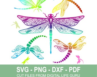 Download Dragonfly Svg Etsy
