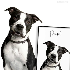 Stampa personalizzata del ritratto dell'animale domestico, personalizzata a mano, stampe di cani, illustrazione di animali domestici, regalo per gli amanti degli animali domestici, idee regalo per i proprietari di cani