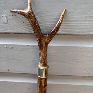 May include: A walking stick featuring a natural brown antler handle with a Y-shaped top. The handle is connected to a textured brown wooden shaft by a smooth, polished silver-coloured metal ferrule that encircles the junction of the two pieces.