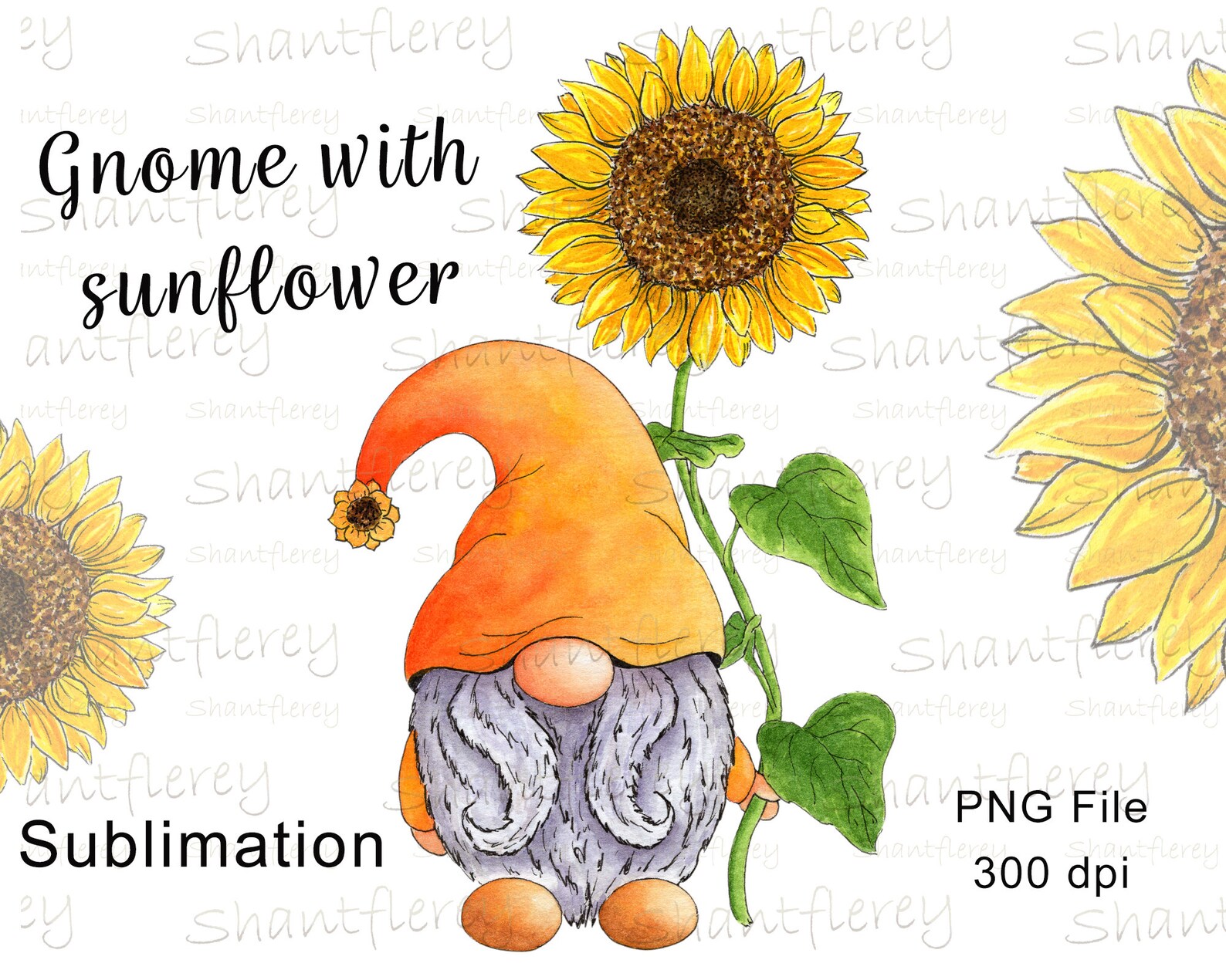Sunflower Gnome PNG Gnome With Sunflower Watercolor Gnome Etsy