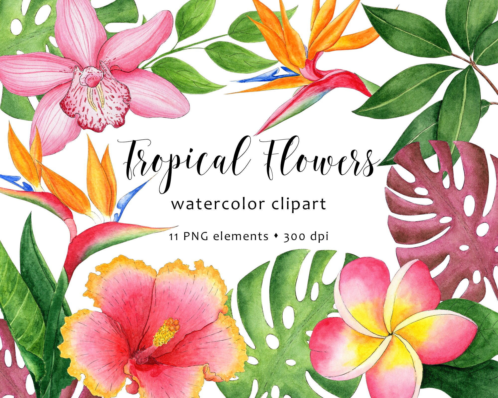 Watercolor Tropical Flower Clipart Tropical Flowers PNG | Etsy