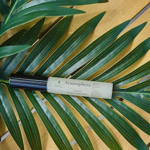 Lipgloss - Sauberes Make-Up - Klare Atmosphäre - Vitamin E - Lip Moisturizer - Bio-Hautpflege - Natürliches Make-Up - Saubere Schönheit