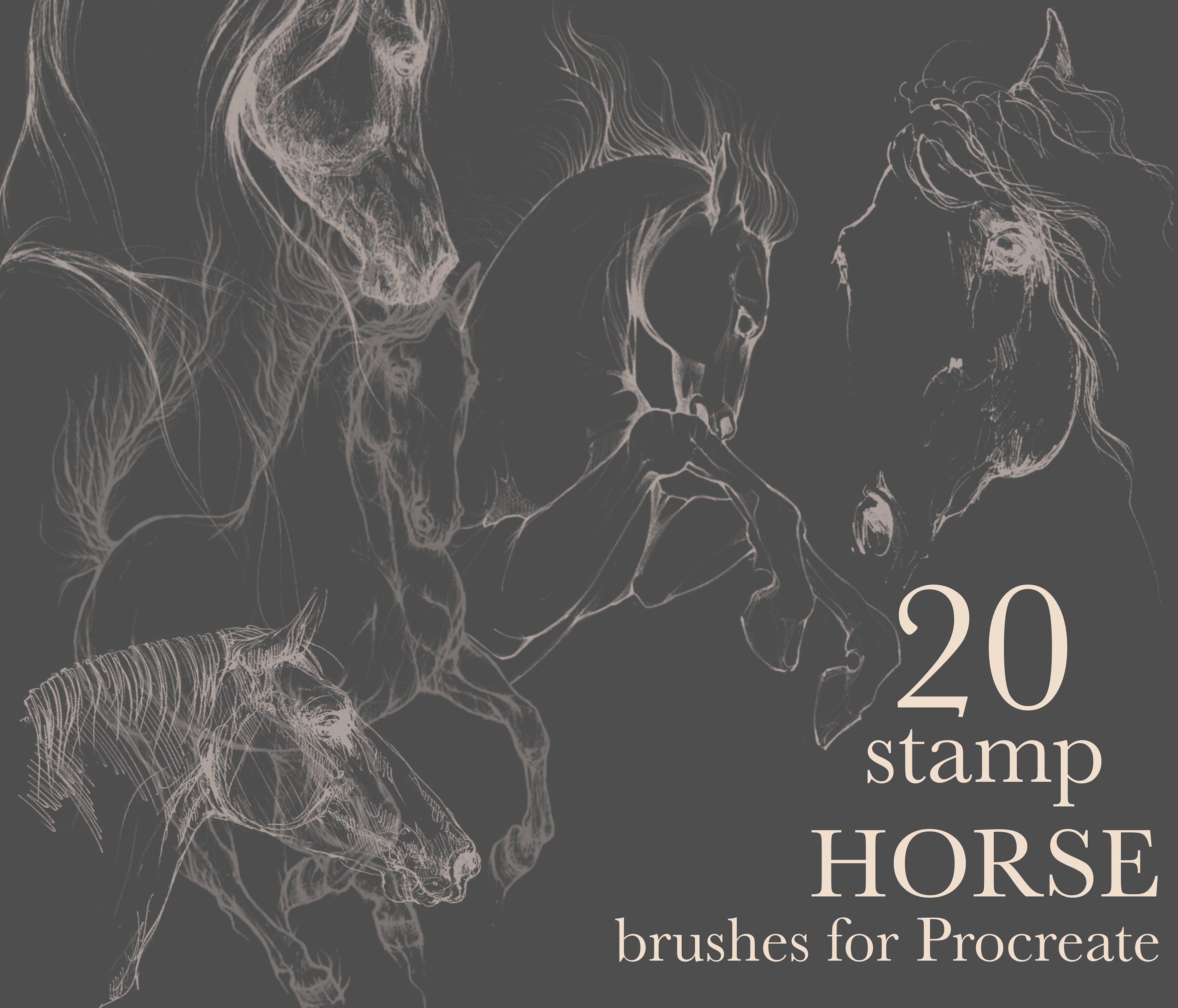 20 HORSE stamp brushes for Procreate Etsy