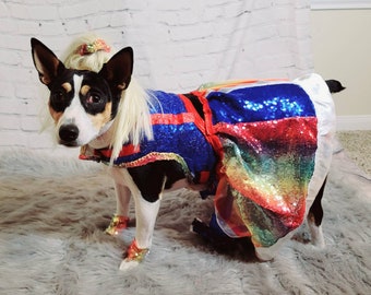 Rainbow Bright pet costume, Rainbow Bright dog costume, Rainbow Bright Cat costume, Rainbow sequin pet dress, Rainbow dog dress, Rainbow pet