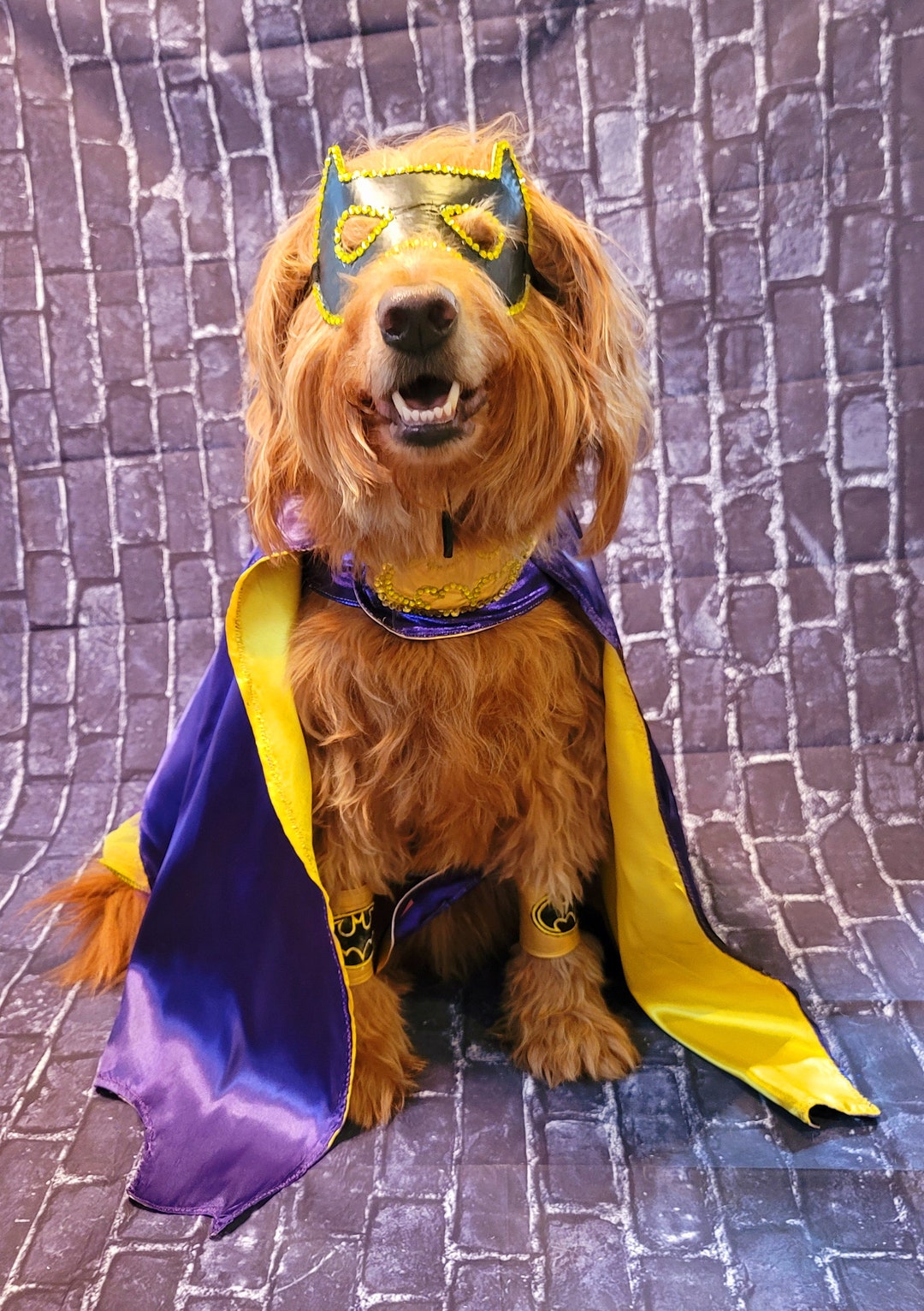 Batgirl Pet Costume Batgirl Dog Costume Batgirl Cat Costume Etsy
